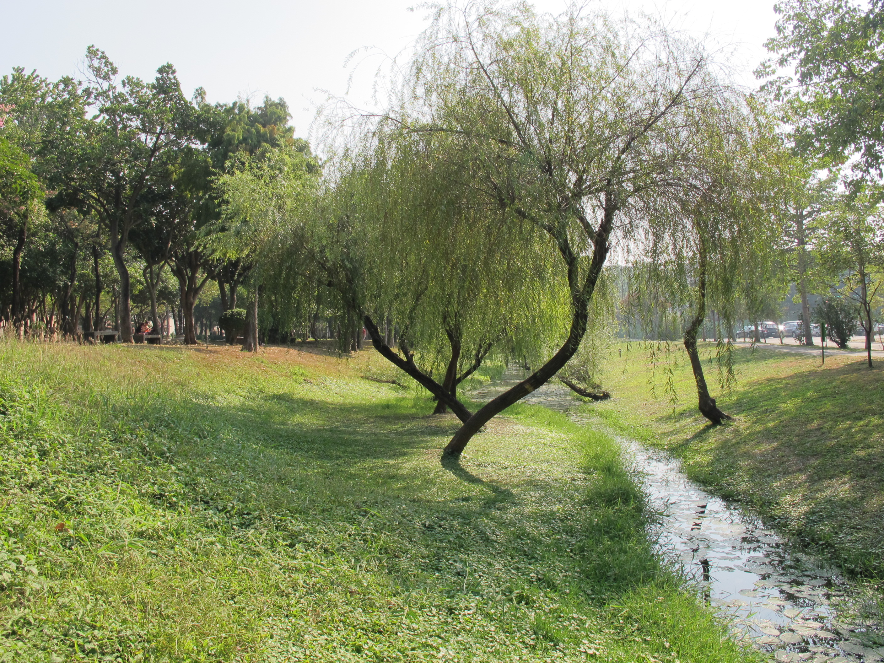 台南巴克禮公園3.JPG