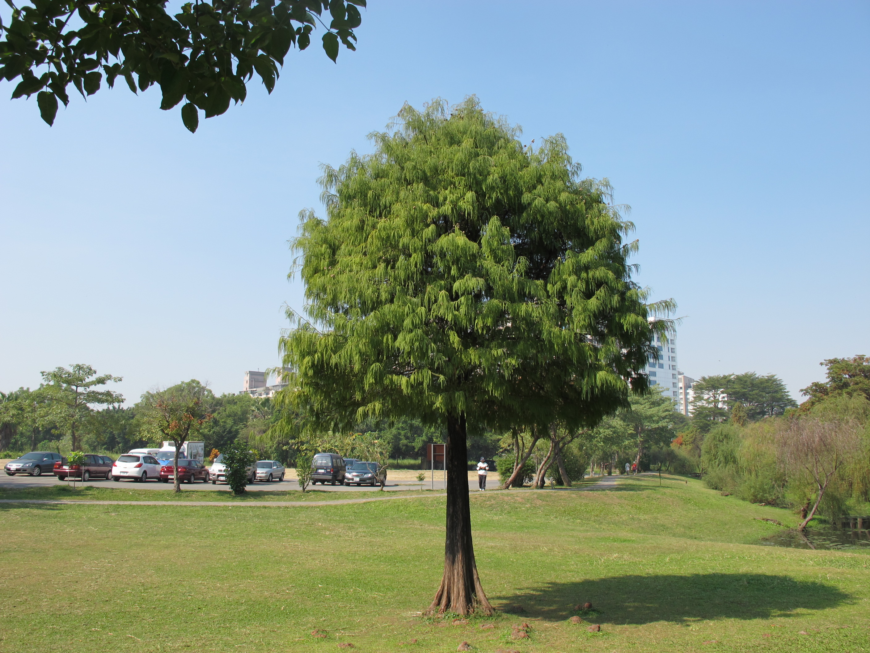 台南巴克禮公園15.JPG