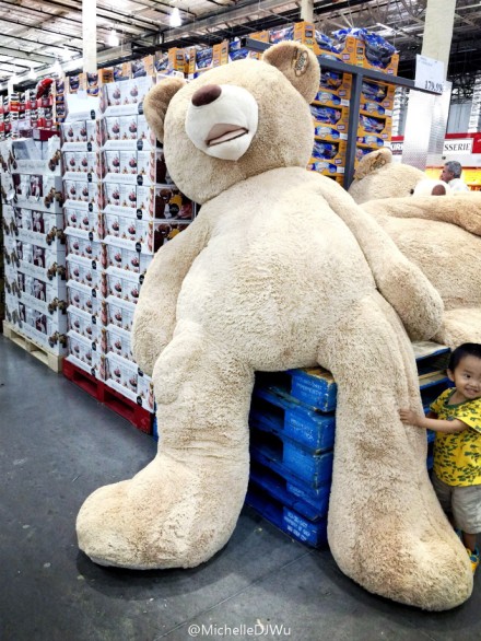 COSTCO 進擊的大熊01.jpg