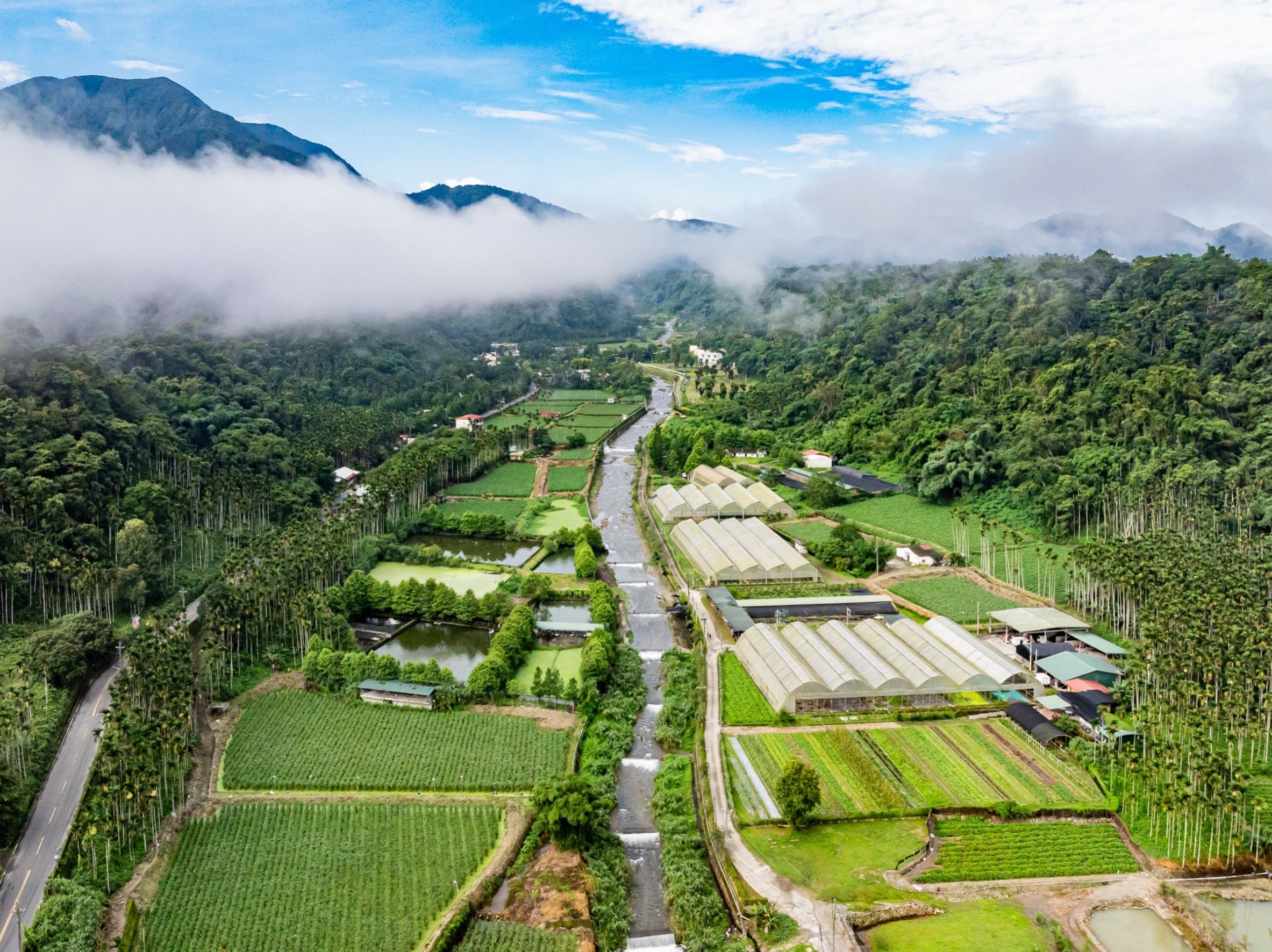 1.森形埔里農莊成為首座百公頃級沉浸式農遊圈預計提供在地逾千工作機會.jpg